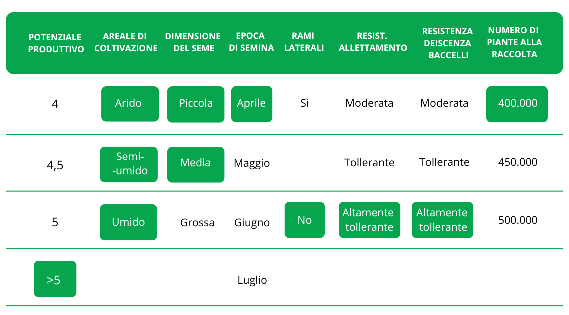 Gorštak ITALIJANSKI